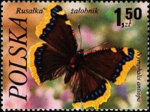 Colnect-3961-640-Mourning-Cloak-Nymphalis-antiopa.jpg