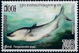 Colnect-3988-425-Mekong-Giant-Catfish-Pangasionodon-gigas.jpg