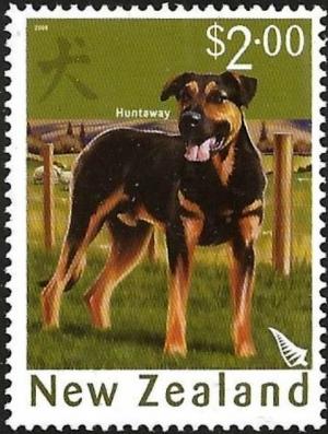 Colnect-4011-298-Huntaway-Canis-lupus-familiaris.jpg