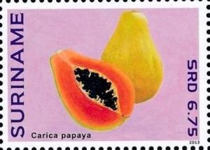 Colnect-4090-046-Carica-papaya.jpg