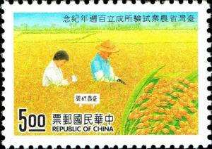 Colnect-4880-756-Rice-Cultivar-Tainung-67.jpg