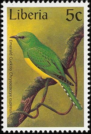 Colnect-745-919-African-Emerald-Cuckoo%C2%A0Chrysococcyx-cupreus.jpg