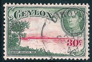STS-Ceylon-4-300dpi.jpg-crop-484x327at17-1844.jpg