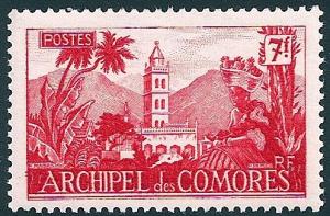 STS-Comoros-1-300dpi.jpg-crop-497x327at539-799.jpg