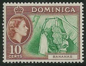 STS-Dominica-5-300dpi.jpeg-crop-448x343at1139-1910.jpg
