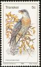 Colnect-1456-718-Red-chested-Cuckoo-Cuculus-solitarius.jpg