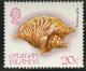 Colnect-1678-508-Rooster-Conch-Strombus-gallus.jpg