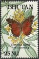 Colnect-2891-035-Red-Lacewing-Cethosia-cydippe-chrisippe.jpg