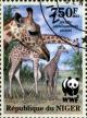 Colnect-3976-833-Giraffa-camelopardalis-peralta.jpg