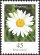 Colnect-4295-607-Chrysanthemum.jpg