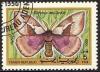 Colnect-1003-586-Moth-Dirphia-multicolor.jpg