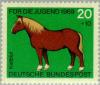 Colnect-152-651-Draught-Horse.jpg