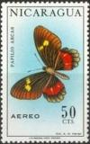 Colnect-2095-486-Caribbean-Duskywing-Papilio-arcas.jpg