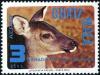Colnect-3507-943-White-tailed-Deer-Odocoileus-virginianus.jpg