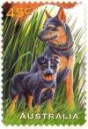 Colnect-4102-473-Blue-Heeler-Dog-Canis-lupus-familiaris.jpg