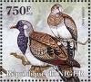 Colnect-4914-467-Namaqua-Dove----Oena-capensis.jpg