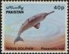 Colnect-887-096-Blind-Indus-Dolphin-Platanista-indi-.jpg