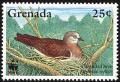 Colnect-2192-555-Grenada-Dove-Leptotila-wellsi-.jpg