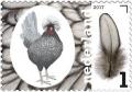 Colnect-3734-146-The-Dutch-tufted-fowl.jpg