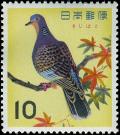 Colnect-5526-458-Oriental-Turtle-Dove-Streptopelia-Orientalis-.jpg