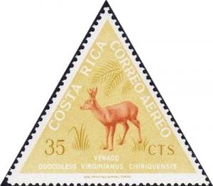 Colnect-1969-531-White-tailed-Deer-Odocoileus-virginianus.jpg
