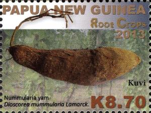 Colnect-2061-060-Nummularia-Yam-Dioscorea-mummularia-Lamarck.jpg