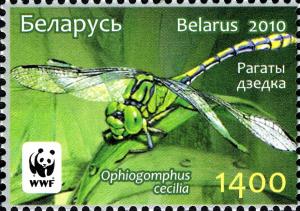 Colnect-725-415-Green-Club-tailed-Dragonfly-Ophiogomphus-cecilia.jpg