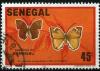 Colnect-1394-679-Butterfly-Euryphrene-senegalensis.jpg
