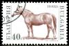 Colnect-1429-499-Horse-Equus-ferus-caballus.jpg