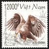 Colnect-1613-122-White-tailed-Eagle-Haliaeetus-albicilla.jpg