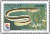 Colnect-1660-899-Indian-Shortfin-Eel-Anguilla-bicolor-pacifica.jpg