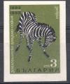Colnect-1679-988-Plains-Zebra-Equus-quagga---Imperforated.jpg