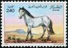 Colnect-1917-423-Horses-Equus-ferus-caballus.jpg