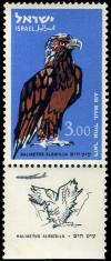 Colnect-2249-434-White-tailed-Eagle-Haliaeetus-albicilla.jpg