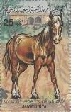 Colnect-2498-655-Horse-Equus-ferus-caballus.jpg