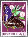 Colnect-4502-872-Purple-Emperor-Apatura-iris.jpg