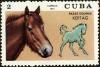 Colnect-4828-596-Kertag-Equus-ferus-caballus.jpg