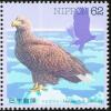 Colnect-608-825-White-tailed-Eagle-Haliaeetus-albicilla.jpg