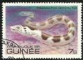 Colnect-1466-194-Saddled-Snake-Eel-Pisodonophis-semicinctus.jpg