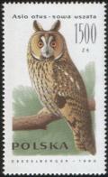 Colnect-1999-892-Long-eared-Owl-Asio-otus.jpg