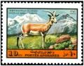 Colnect-2161-063-Persian-Gazelle-Gazella-subgutturosa.jpg