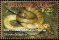 Colnect-2403-047-New-Guinea-Small-eyed-Snake-Micropechis-ikaheka.jpg