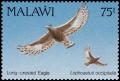 Colnect-3388-901-Long-crested-Eagle-Lophaetus-occipitalis.jpg