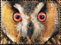 Colnect-4550-686-Long-eared-owl-Asio-otus.jpg