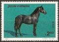 Colnect-743-503-Nonius-Equus-ferus-caballus.jpg
