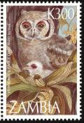 Colnect-861-812-Verreaux-s-Eagle-Owl%C2%A0Bubo-lacteus.jpg