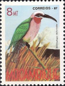 Colnect-1119-547-White-fronted-Bee-eater-Melittophagus-bullockoides.jpg