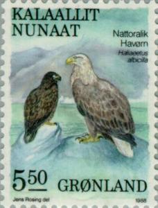 Colnect-158-421-White-tailed-Eagle-Haliaeetus-albicilla.jpg