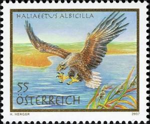 Colnect-1025-074-White-tailed-Eagle-Haliaeetus-albicilla.jpg
