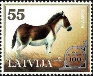Colnect-1217-187-Kiang-Equus-hemionus-kiang.jpg